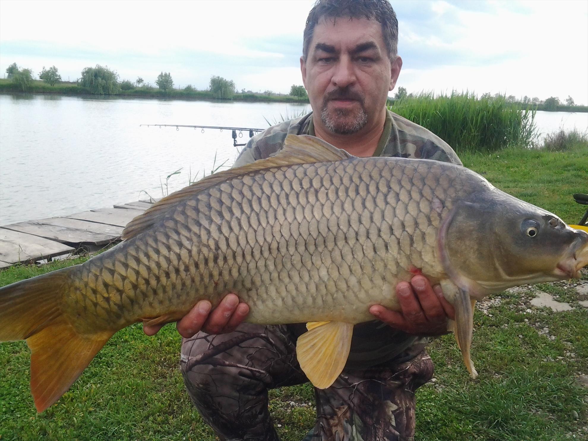 Moby Dick - 20170511190104.jpg